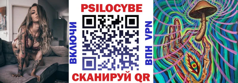 где купить наркоту  Дальнереченск  kraken   Псилоцибиновые грибы Psilocybine cubensis 